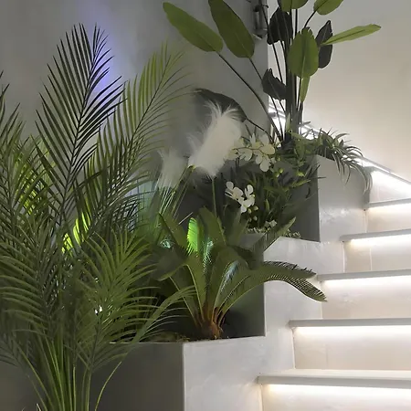 Baraka Villa Sainte-Maxime