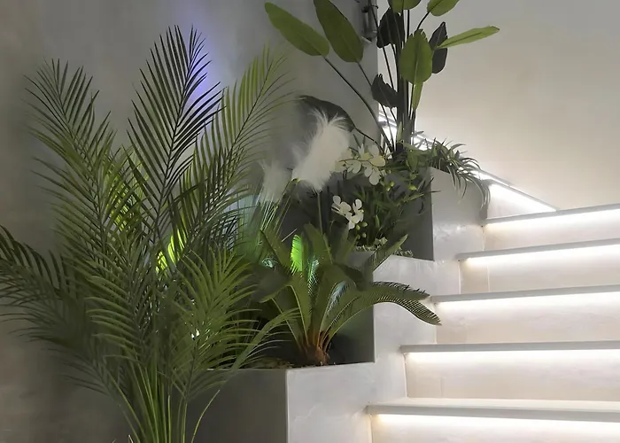 Baraka 빌라 생트막시메